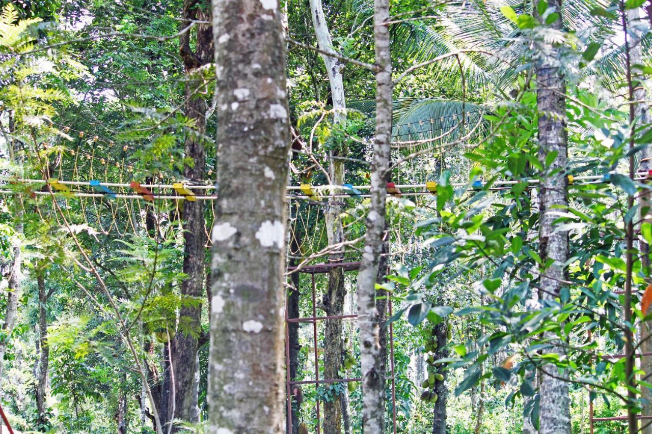 Cs County Resort Sakleshpur Extérieur photo